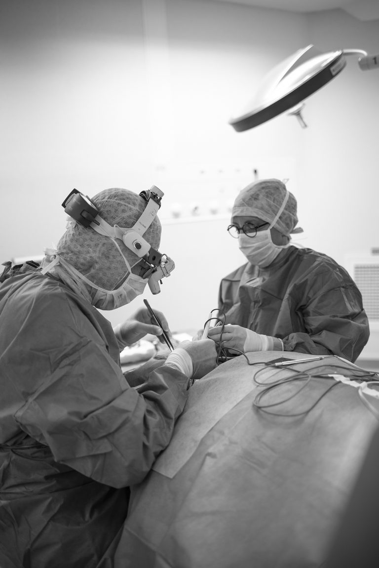 Agence-Distinguez-Vous-Dr-LAUR-007